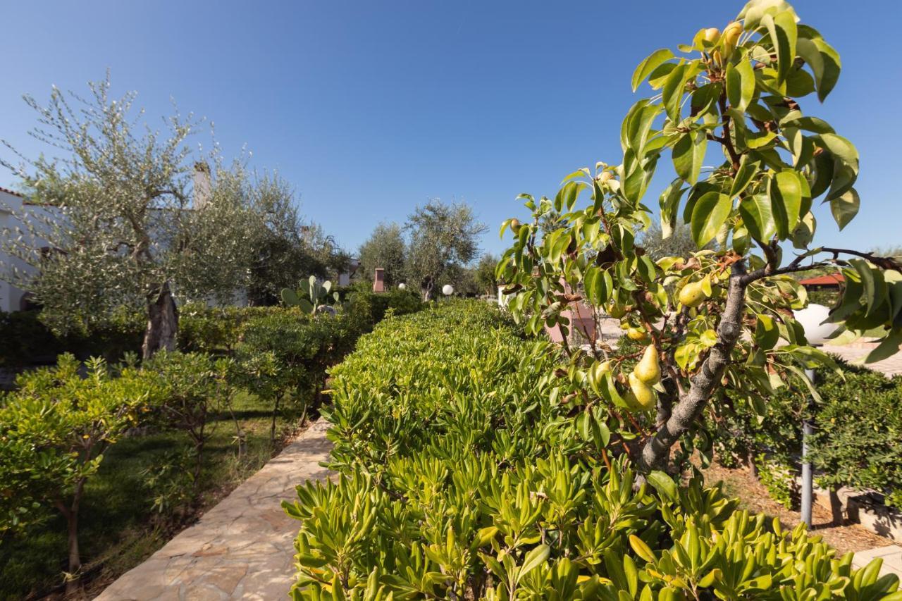 Residence Villantica ヴィエステ エクステリア 写真
